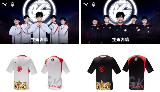 山东的体育 山东的体育