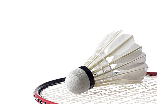 球锁定了胜 球锁定了胜