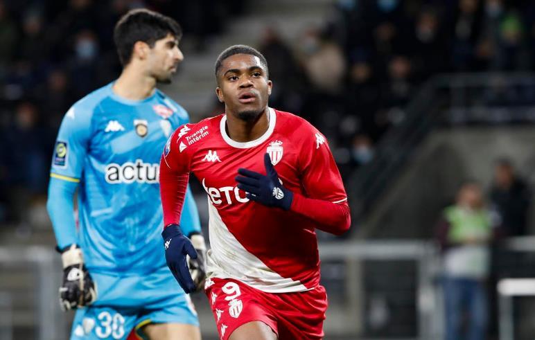 材的隐忧 材的隐忧